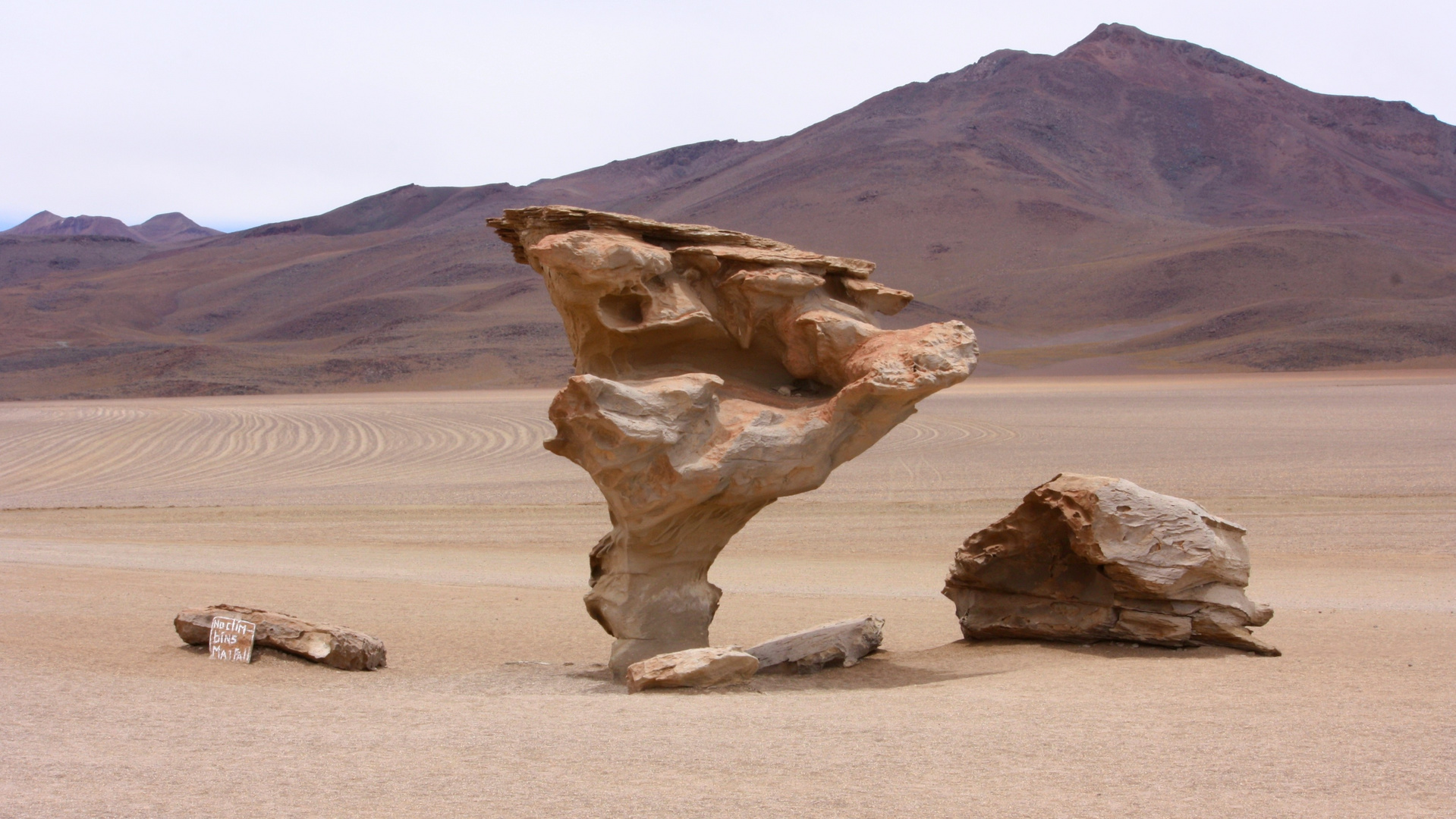 Dali-Wüste in den bolivianischen Anden