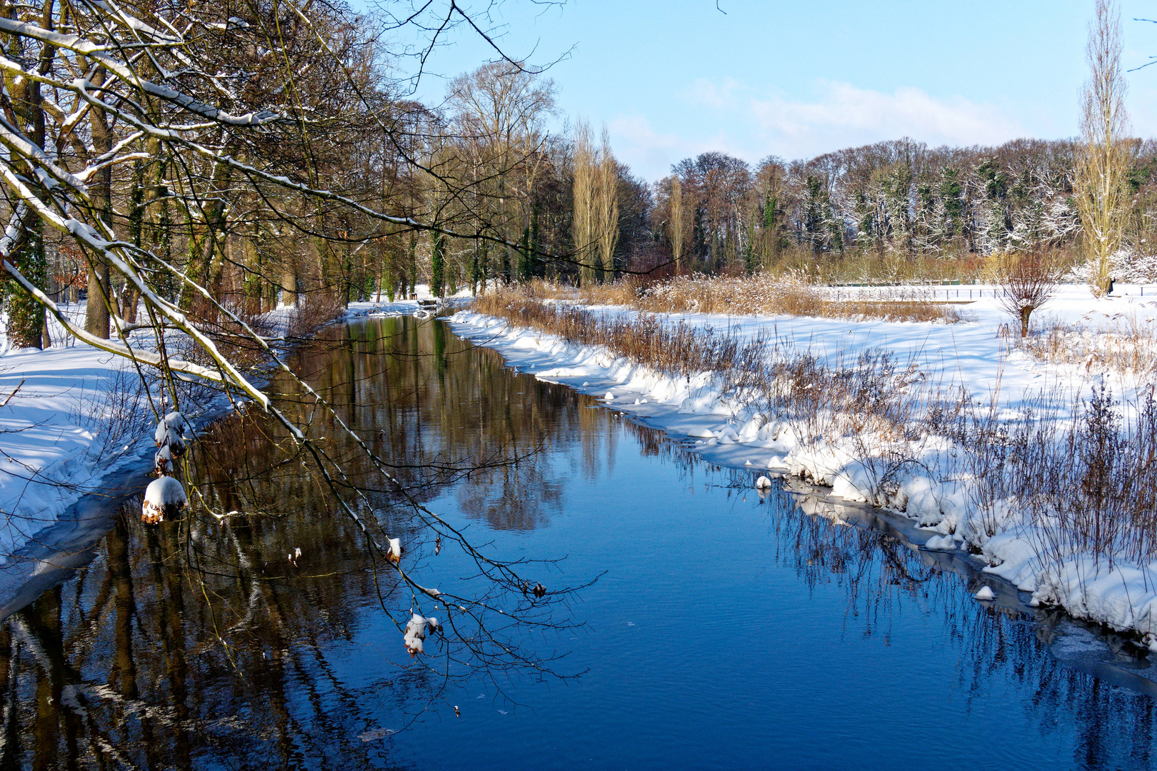 Dalke im Winter