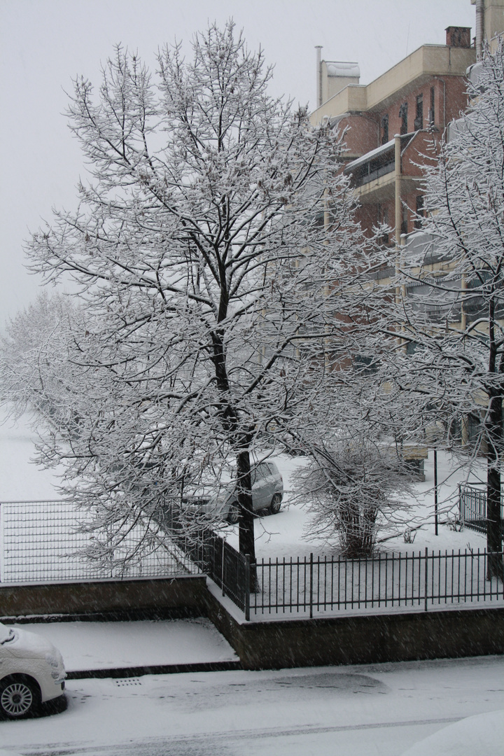 dalla finestra di casa mia 2