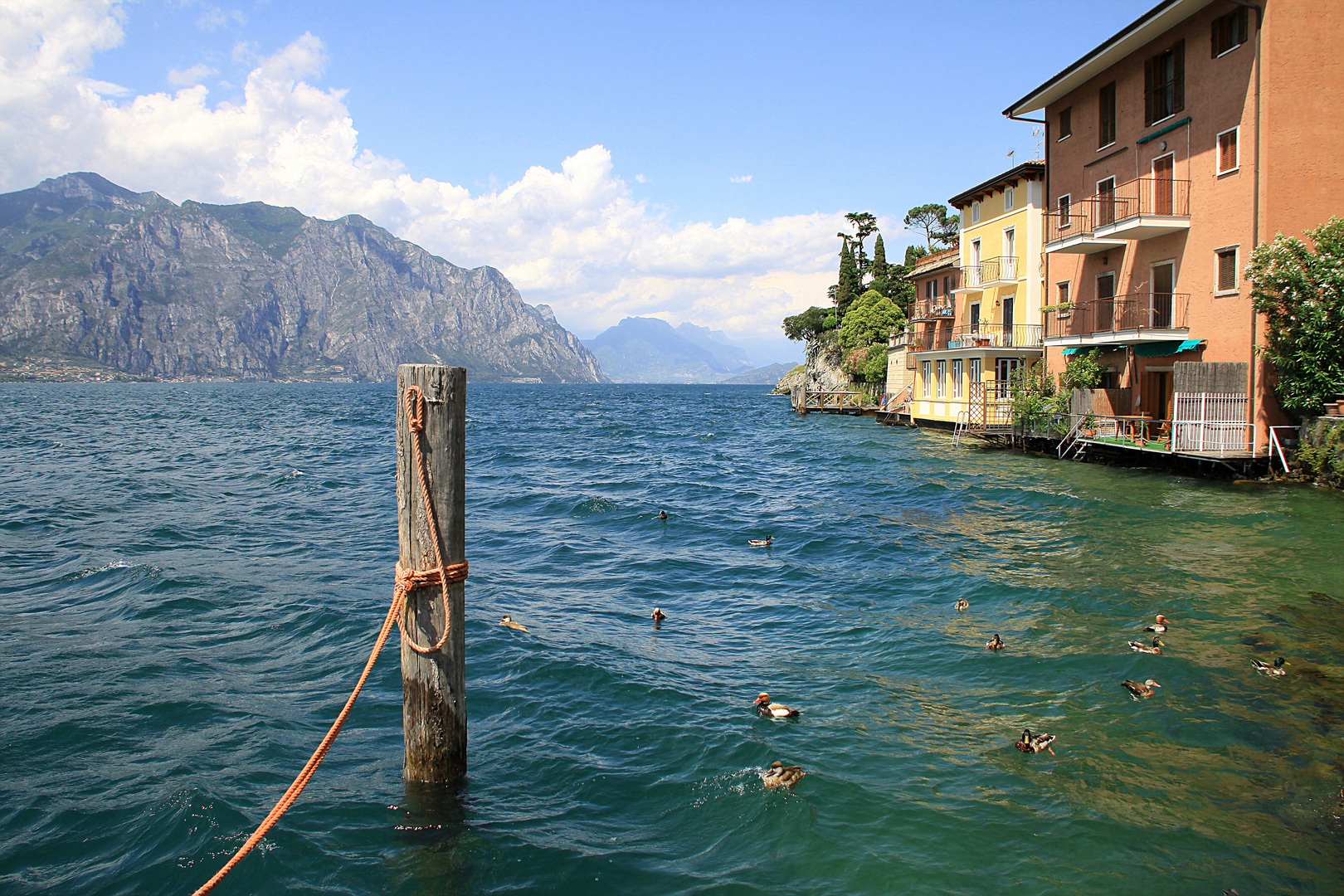 Dalla riva di Malcesine