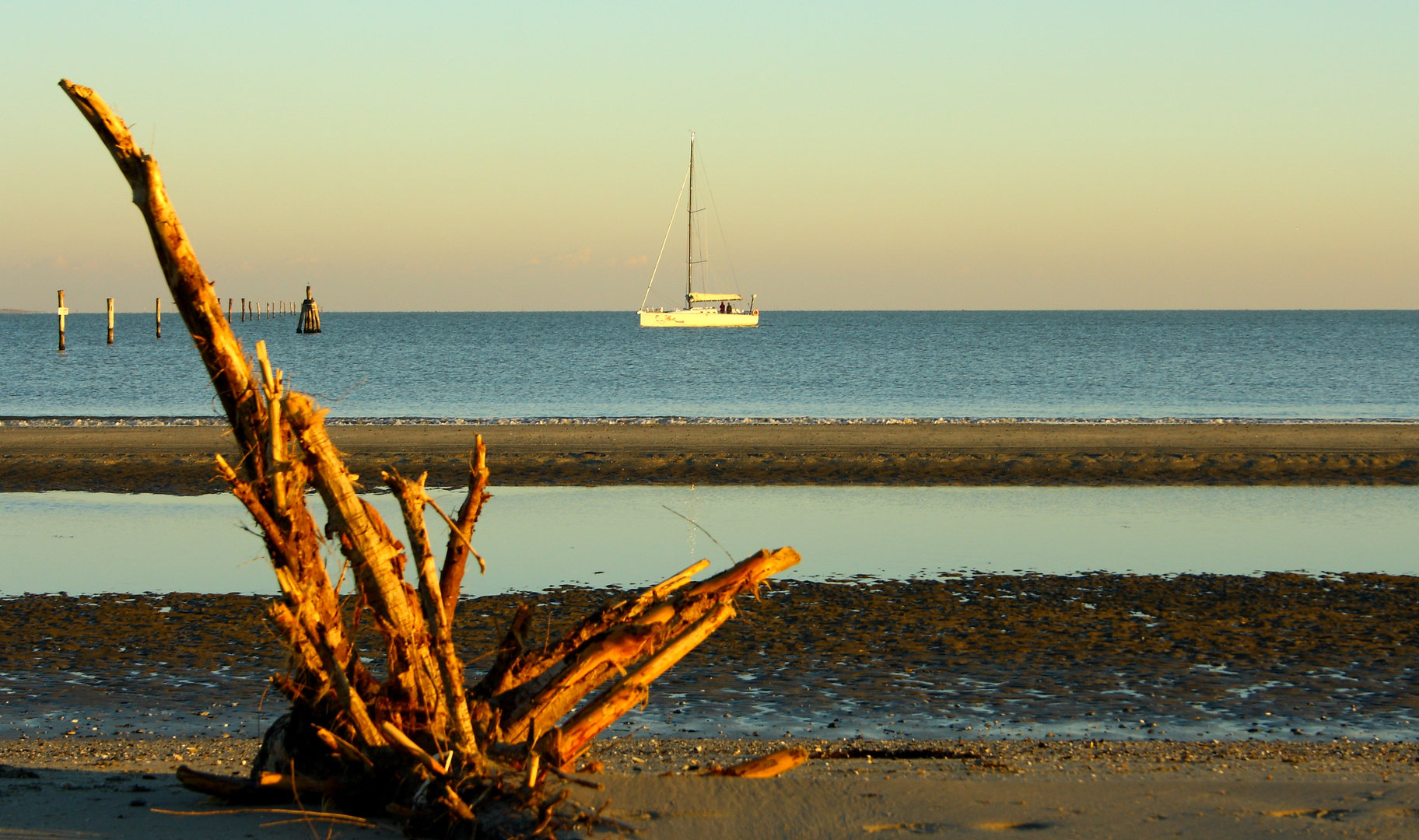 Dalla spiaggia