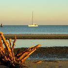 Dalla spiaggia