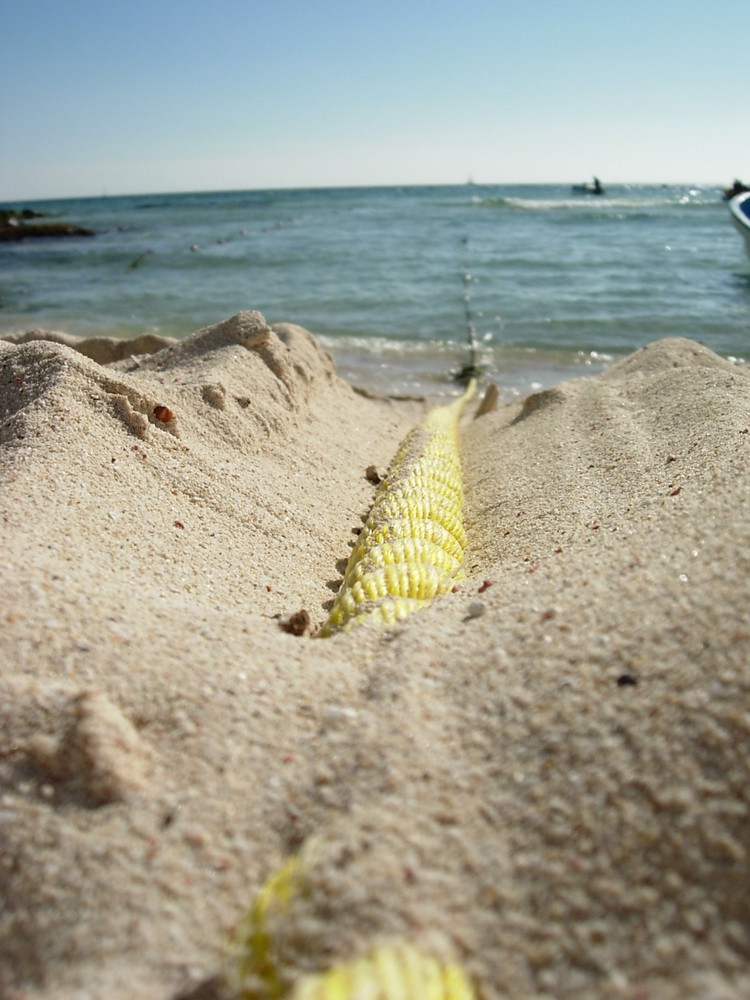 DALLA SPIAGGIA