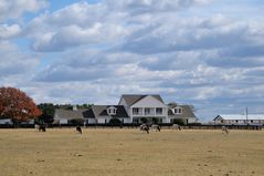 Dallas 05 - Southfork