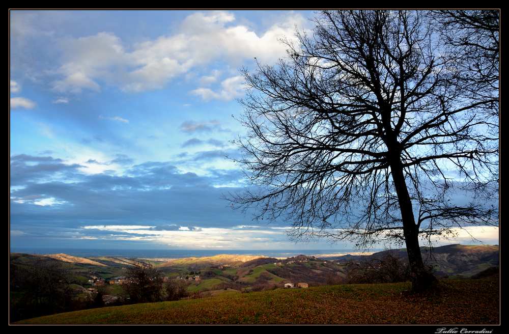 ...dalle colline Reggiane..