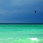 Dalle Spiagge Bianche di Vada