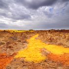 DALLOL