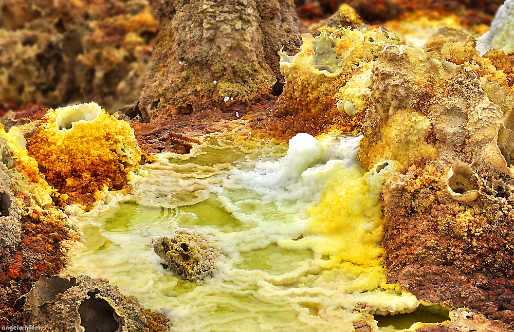 DALLOL Details