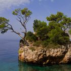| Dalmatia @ Adriatic Sea |
