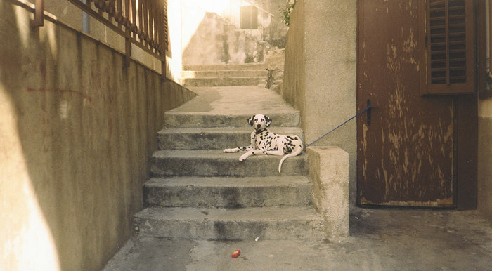 Dalmatien mit der alten Kamera