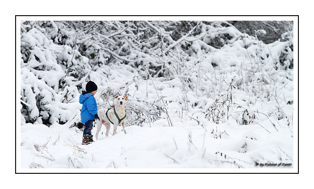 [Dalmatiner und Herrchen] - Winterwonderland