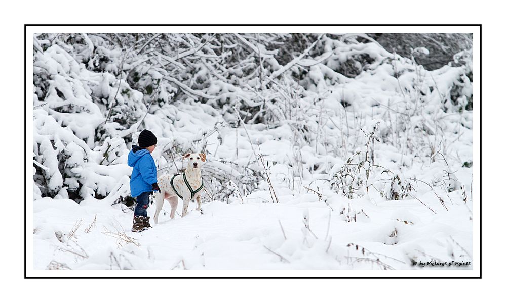 [Dalmatiner und Herrchen] - Winterwonderland