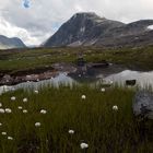 Dalsnibba-Fjell