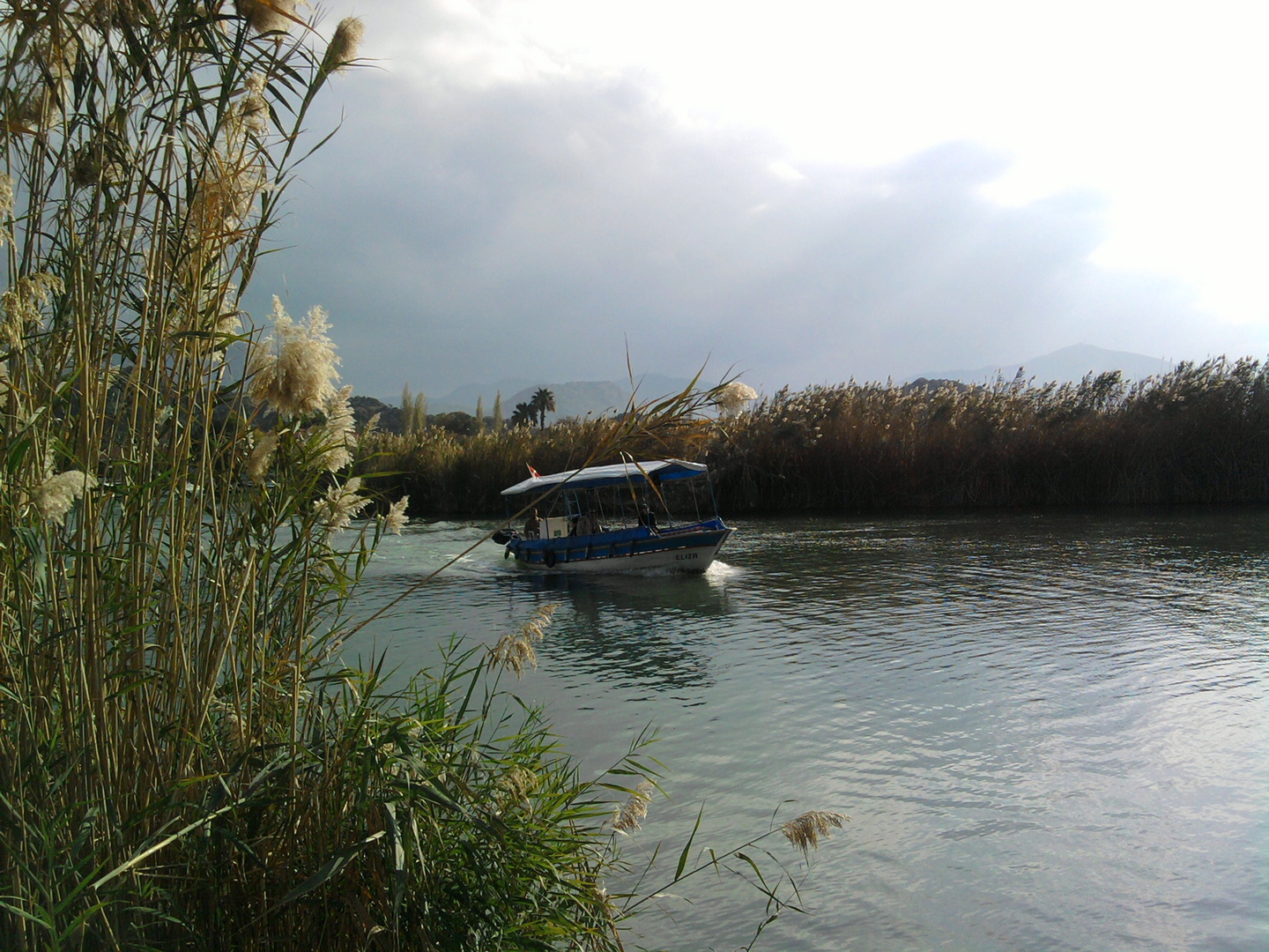 dalyan delta 1