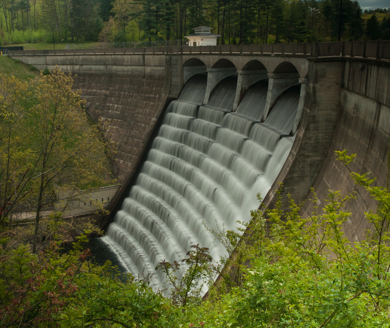 Dam in the Forest