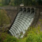 Dam in the Forest