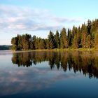 Dam lake "Shiroka Poliana " - Rodopi montain Bulgaria