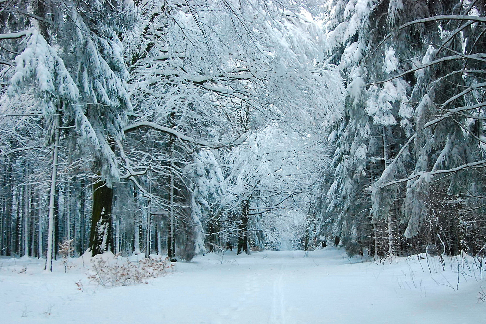 Damals, als es noch richtigen Winter gab