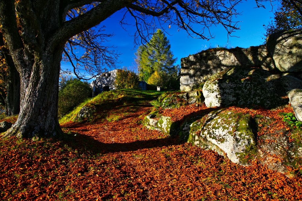 damals im herbst