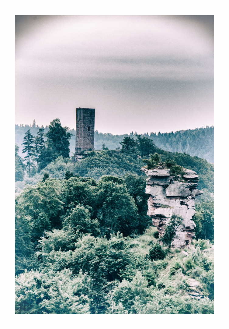 Damals im Pfälzer Wald