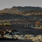 Damaraland-3