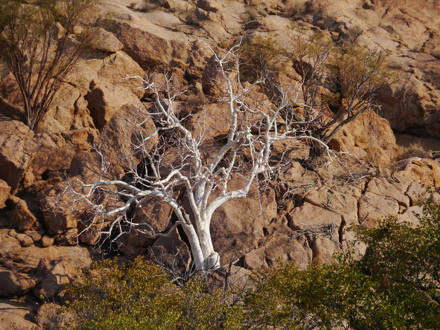 Damaraland