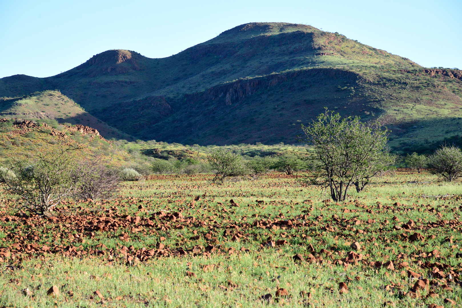 Damaraland