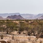 Damaraland