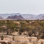 Damaraland