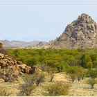 Damaraland