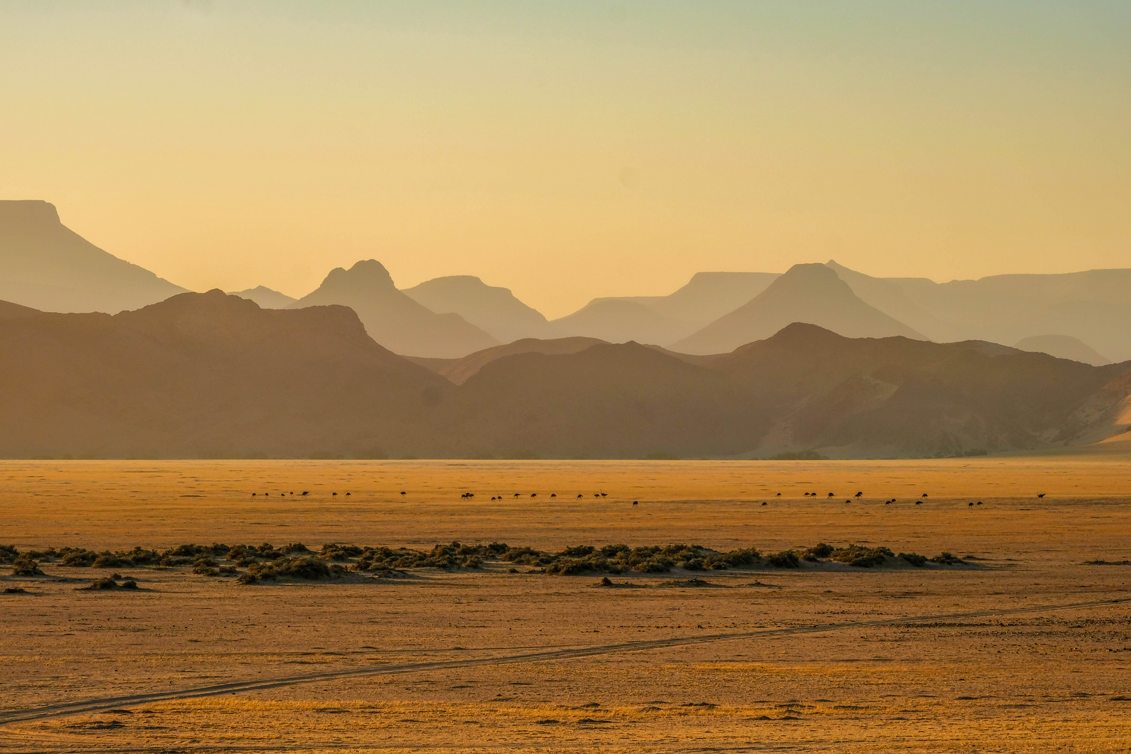 Damaraland