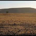 Damaraland - einzigartig und rau