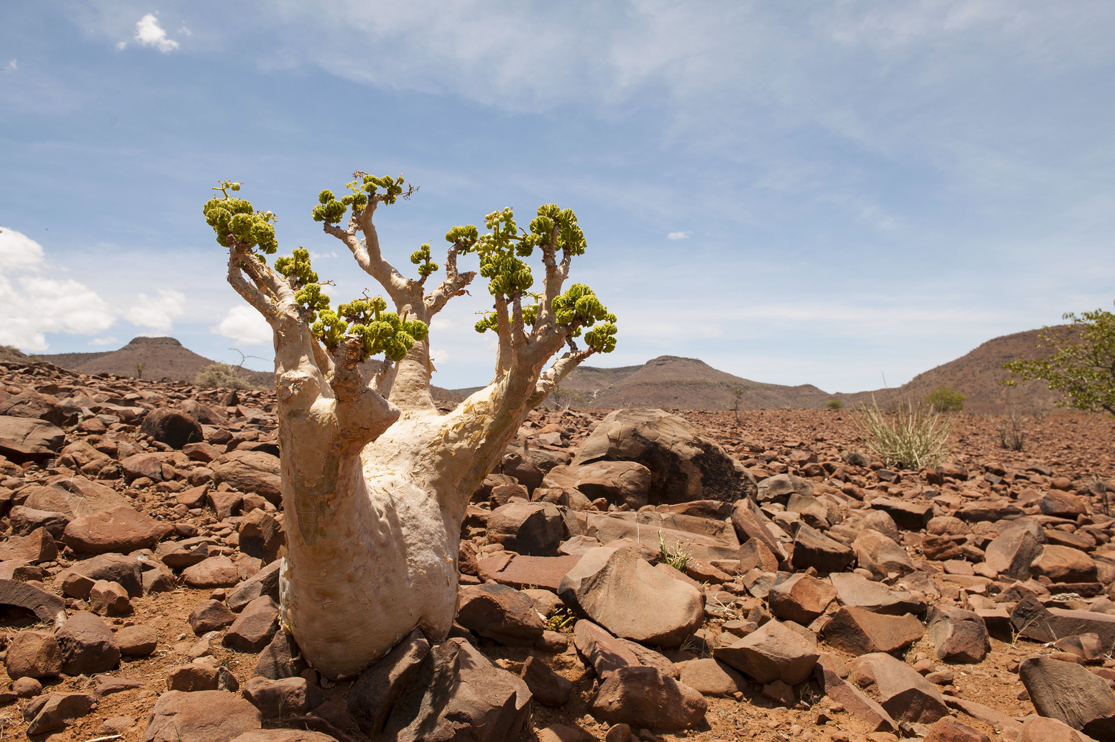 Damaraland, Namibia