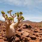 Damaraland, Namibia