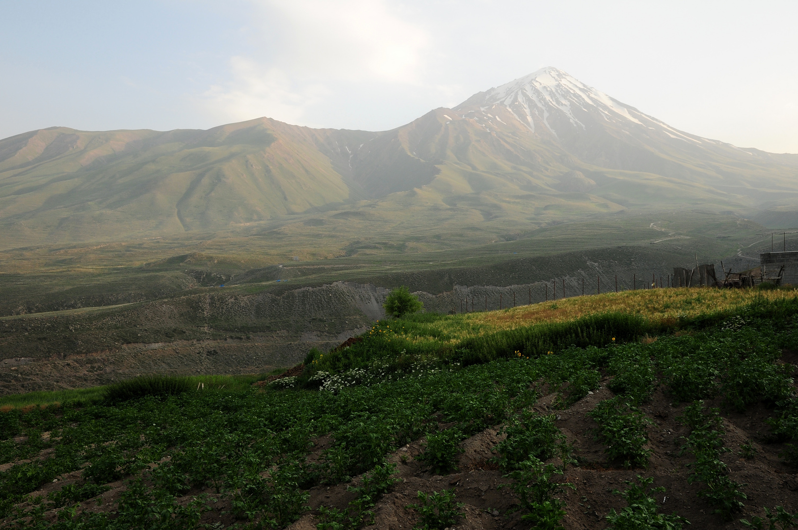 Damavand 1