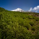 Damavand