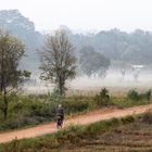 Dambulla am Morgen