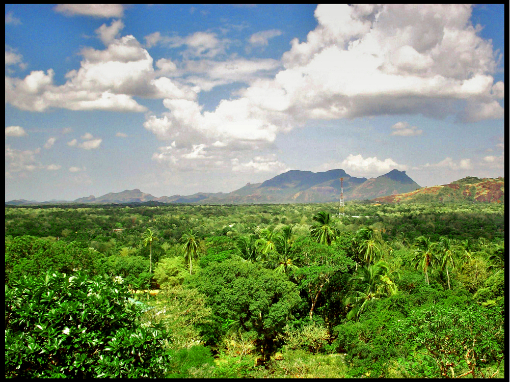 Dambulla Richtung Süd-Ost