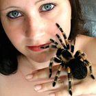 Dame mit Brachypelma smithi