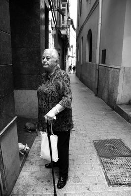 Dame mit Hündchen...