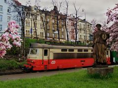 Dame mit Lokomotive und Magnolienblüten