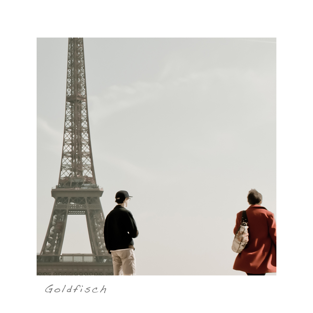 Dame mit roter Jacke in Paris