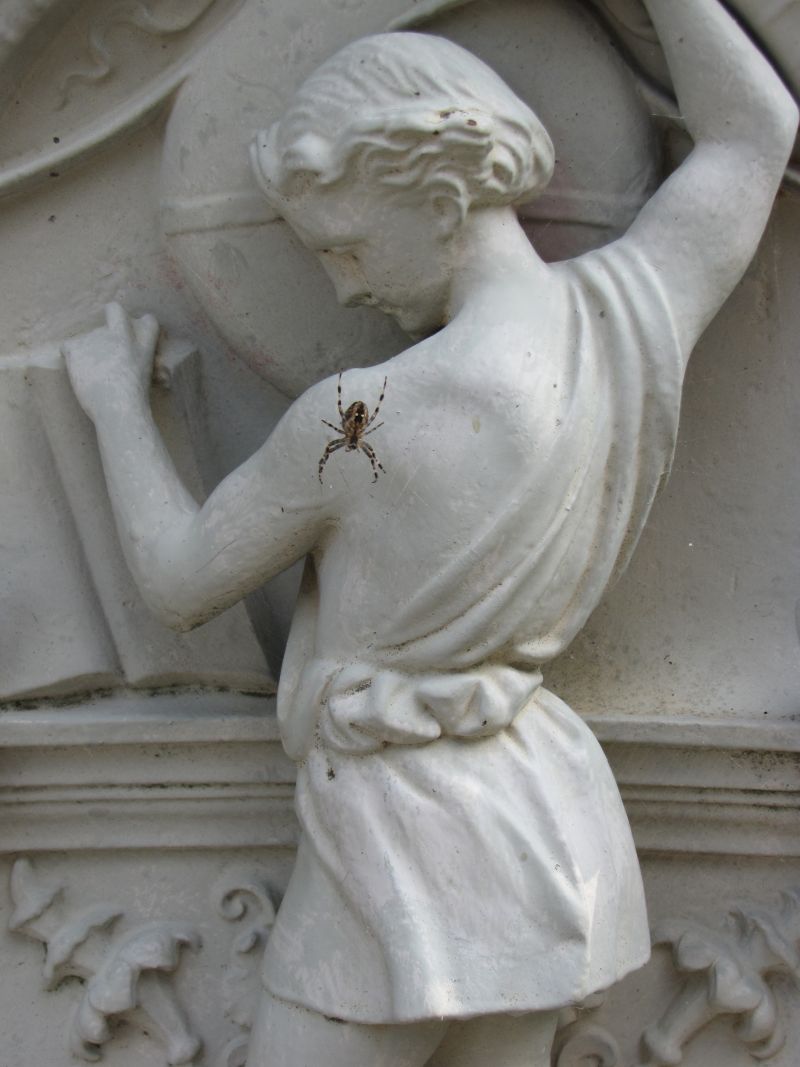 Dame mit Spinne