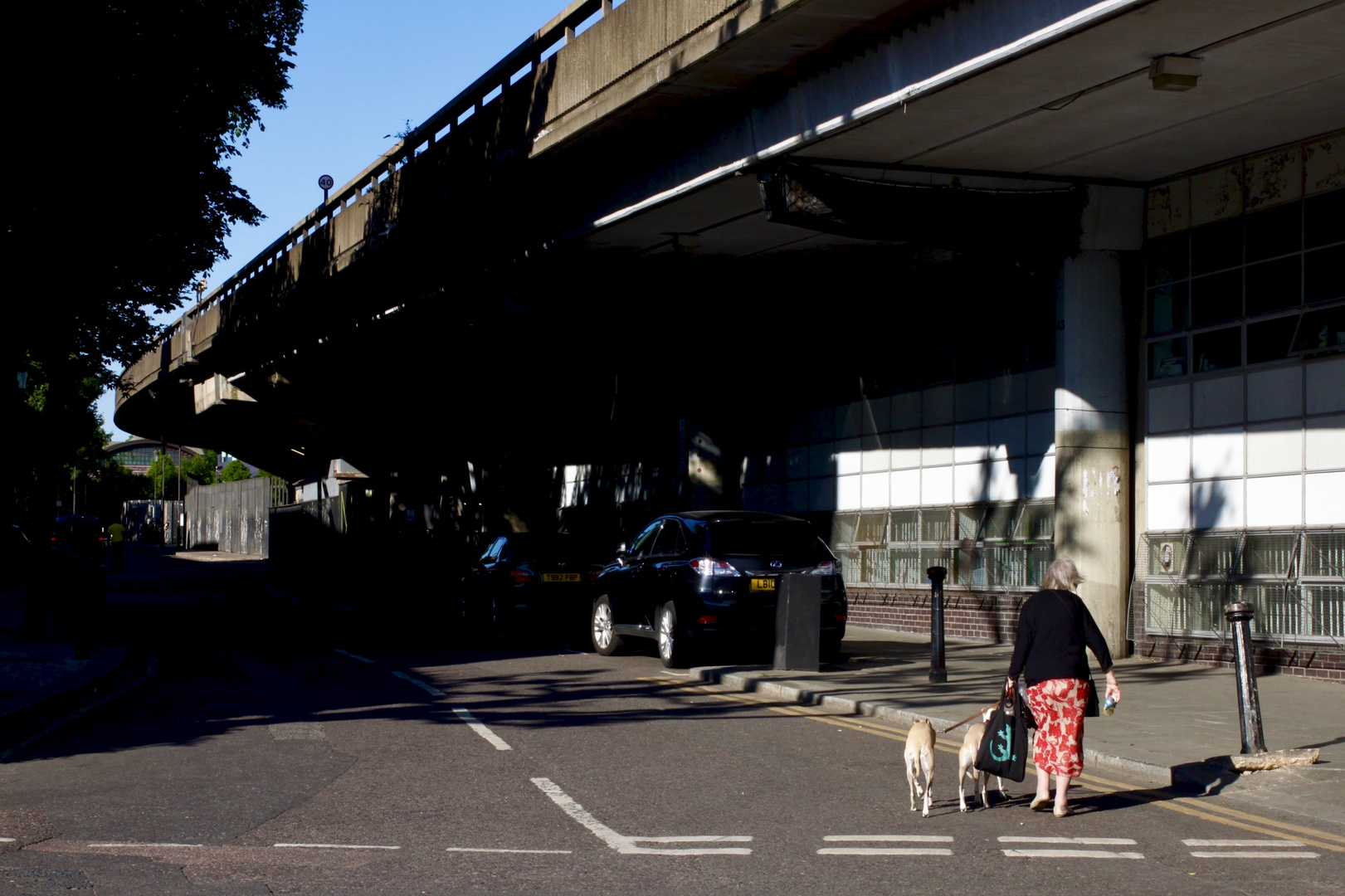 Dame mit zwei Hunden, Westway, Portobello Road, London, UK