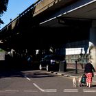 Dame mit zwei Hunden, Westway, Portobello Road, London, UK