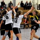 Damen - Handball