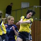 Damenhandball TV Hofheim