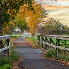 Damgarten im Herbst