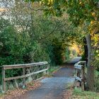 Damgarten im Herbst