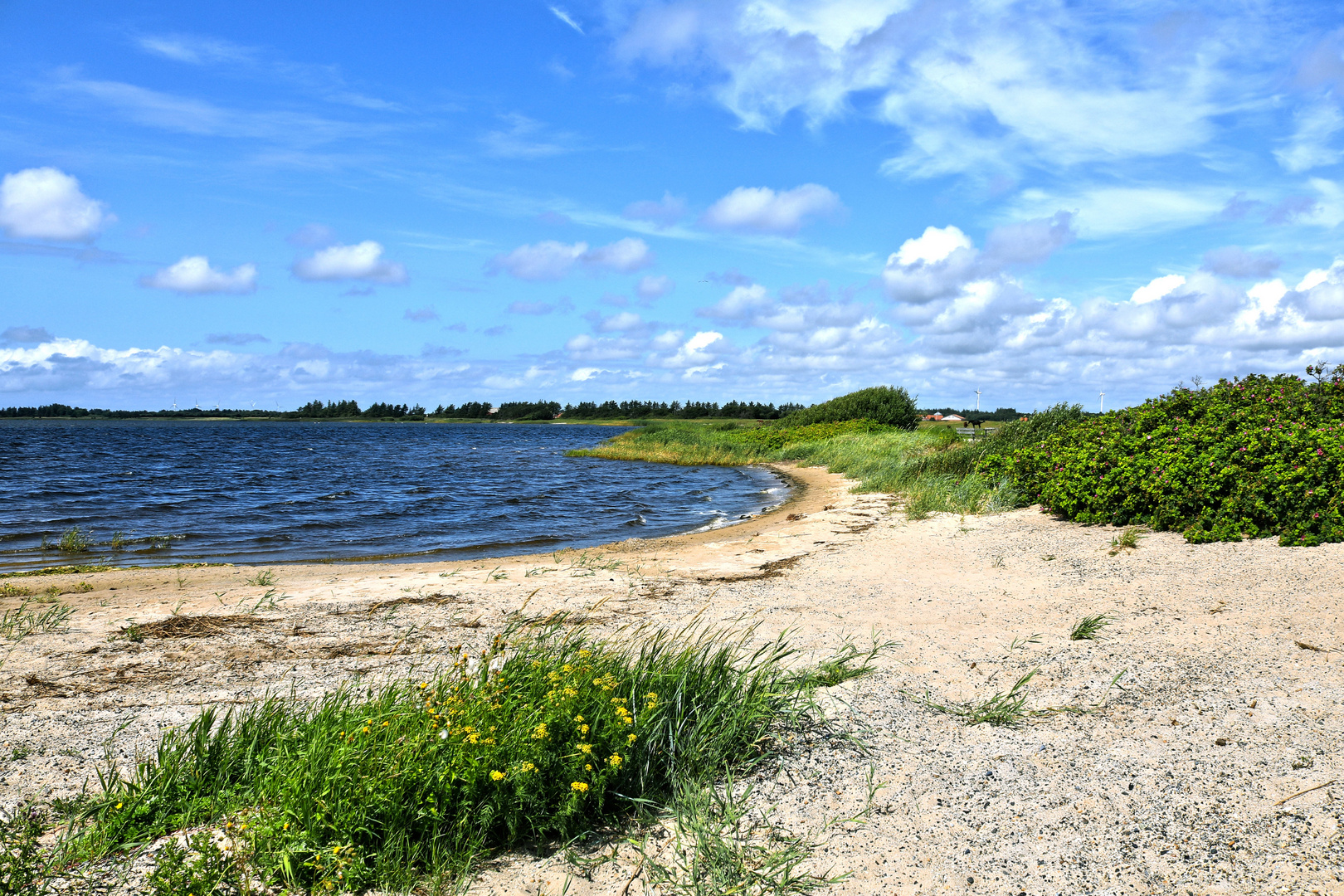 Damhus Å Havn - Strand